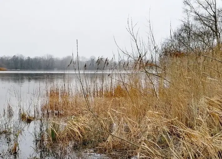 Club de pêche du lac de Bambois