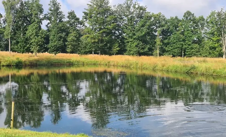 La Truite de Freux | Pisciculture bio en Pays de Saint-Hubert