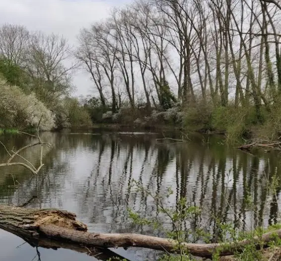 Oude Schelde Blarewater