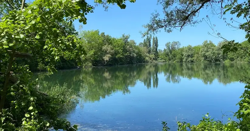 Muisbroek: kleine vijver