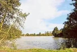 Gemeentevijver Zandhoven (Put van Viersel)