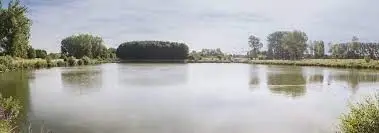 Grindplas Negenoord-West