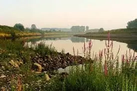 Grindplas Bichterweerd