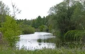 Scheldemeander Kriephoek