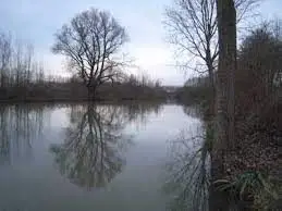 Scheldemeander Meilegem