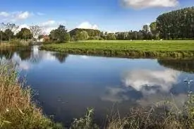 Scheldemeander Doornhammeke