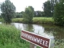 Doornhammeke