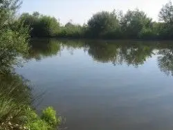 Oude leiearm grammede