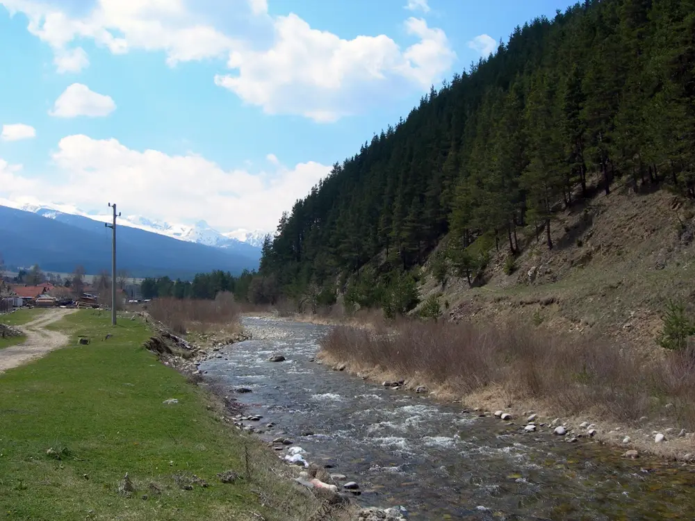 Черни Искър