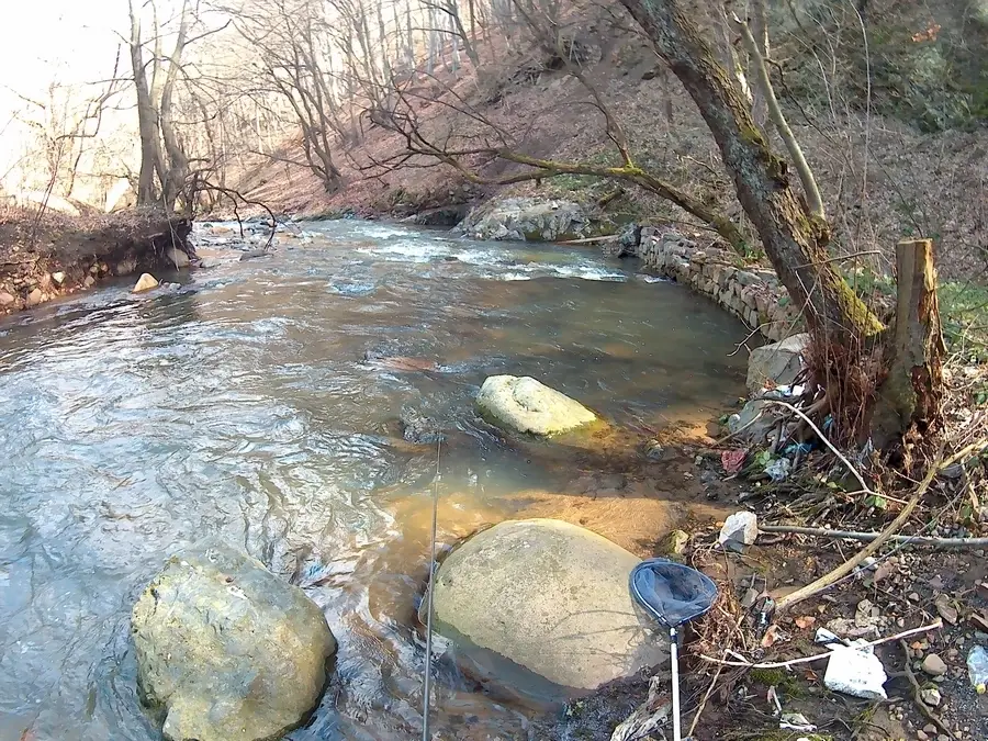 Владайска 4