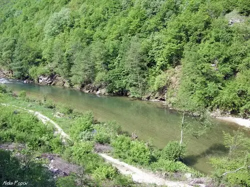 Река Въча