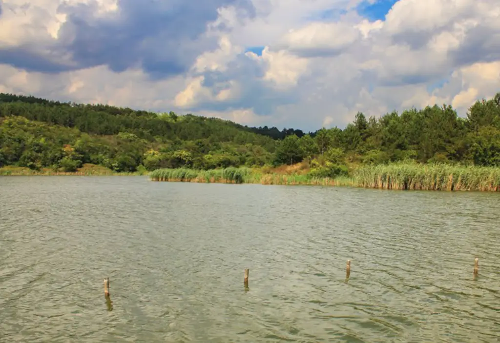 Язовир Дрян