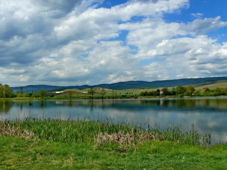 Язовир Роза