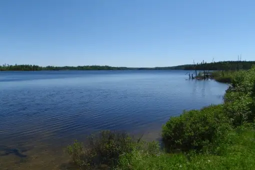 Язовир Трънково