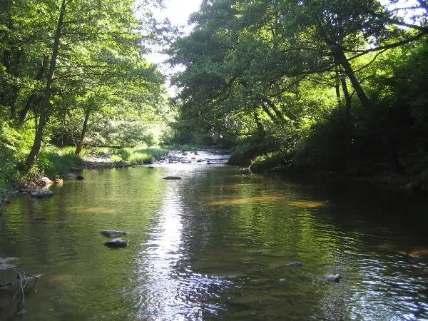 Река Чепеларе 3