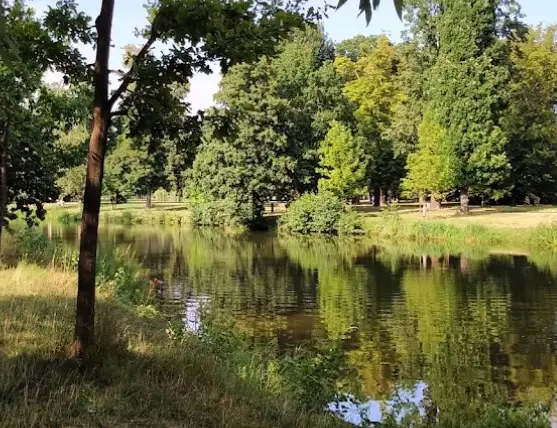 Malá říčka ve Stromovce