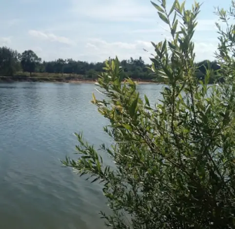 Pískovna Velký Samberk