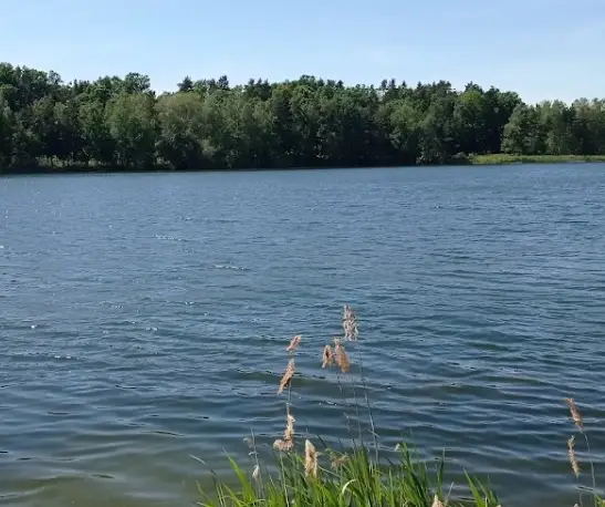 Vlkovská (velká) pískovna