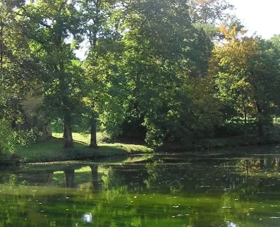 Rybník Kostelní – SKALICE 1