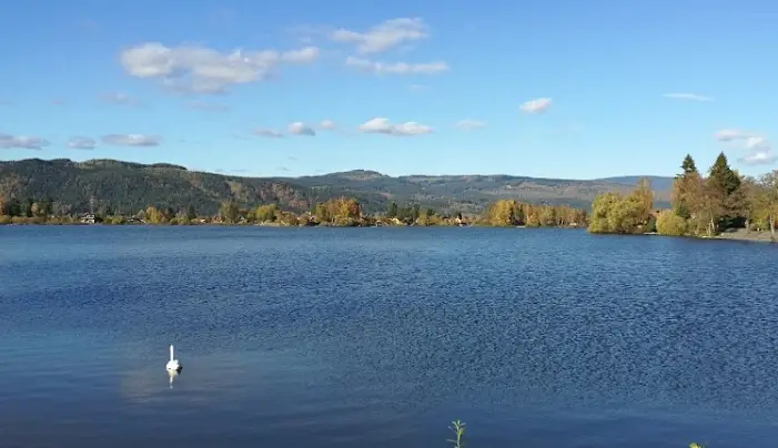 Velký rybník – DALOVICKÝ POTOK 2