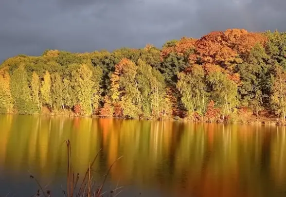 Vojkova – CHODOVSKÝ POTOK 1