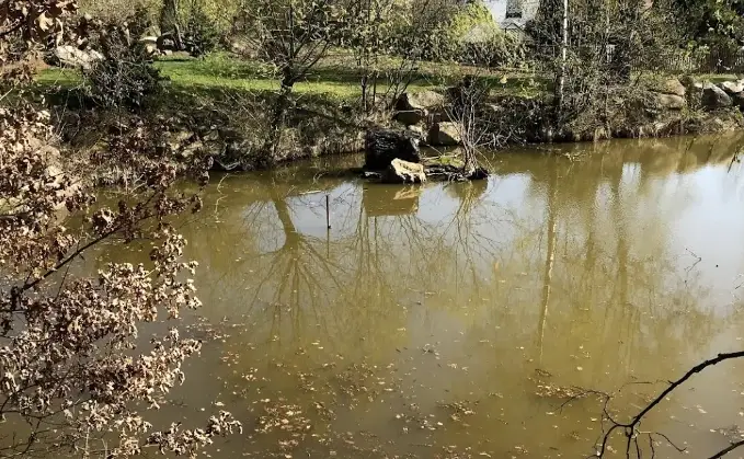 Propadlina Tašovice