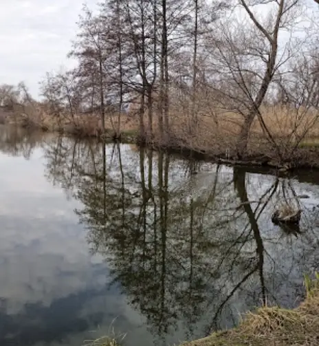 Havraňské rybníky 1, 2, 3, 5