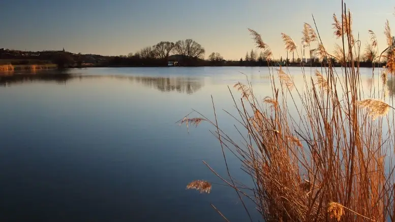 Obecní rybník (Mílův, Zaječice)