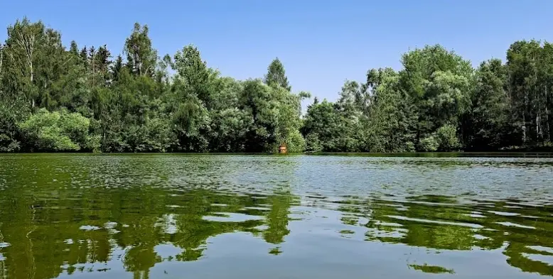 Mexiko – JIŘÍKOVSKÝ POTOK 2