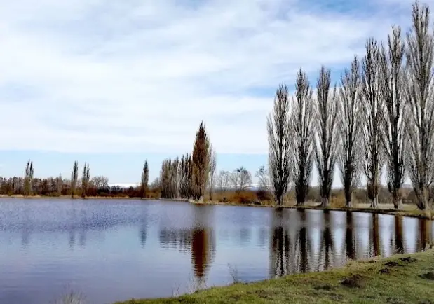 Retenční nádrž (Vysoké Veselí) – CIDLINA 5