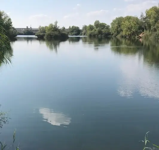 Opatovický písník