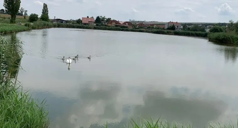 Nádrž závlahová (Starovice) – Dyje 5A