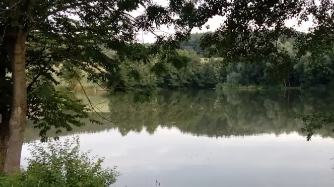 Lukov I –  Januštice 1A