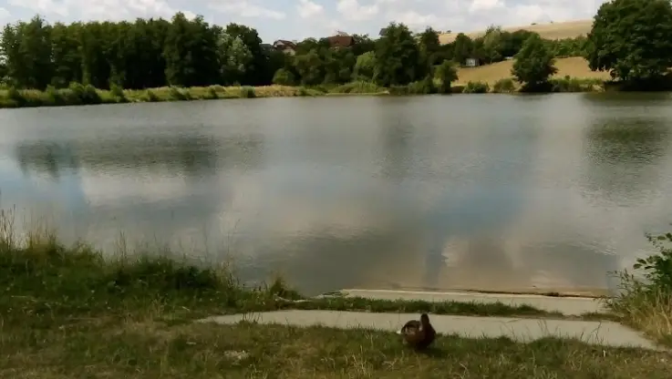 Lukov II –  Januštice 1A