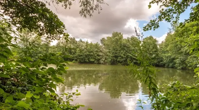 Přírodní koupaliště Malá Laguna II