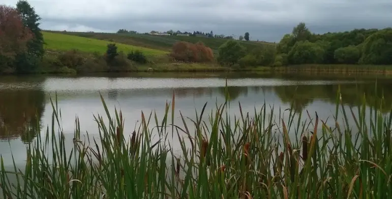 Nádrž Dvorce (Střelnice)