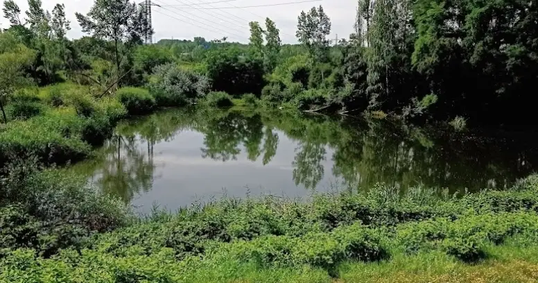 Nádrž Pod Čističkou