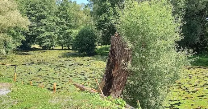 Tůně ve Svinově I