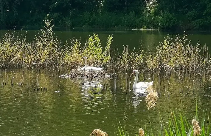 Pelnář – PELNÁŘ 1 A