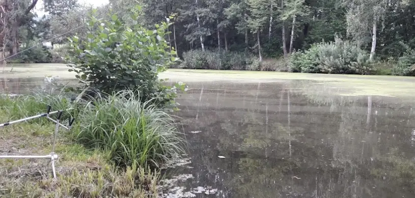 Kaolín– PELNÁŘ 1 A