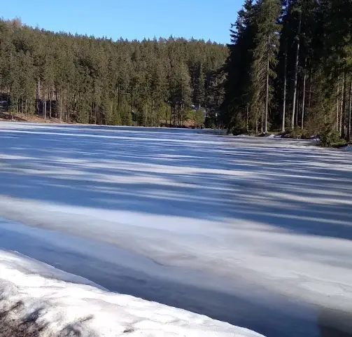 Komáří č. 1 (Nový rybník)