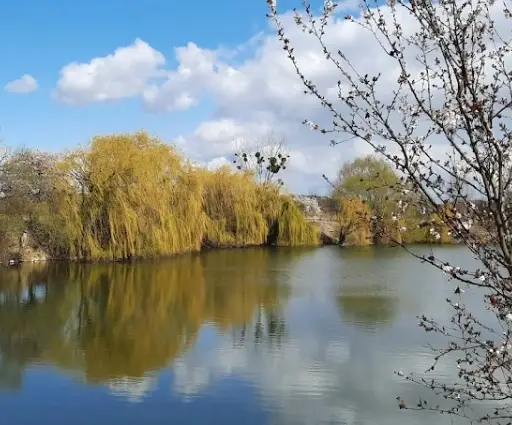 Štěrkopískovna Majetín