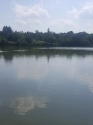 RYBNÍK V ROHOŽNÍKU