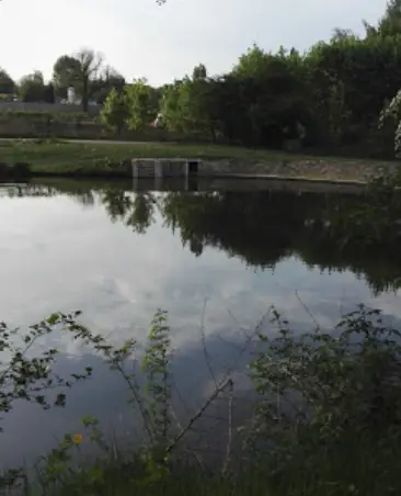 RYBNÍK CUKROVARSKÝ