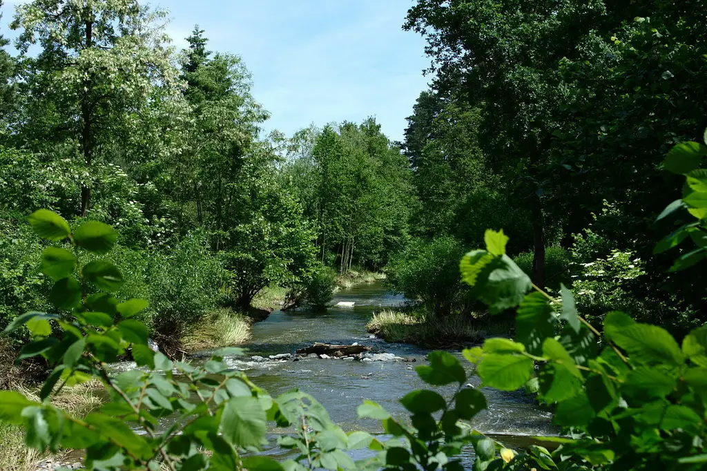 KONOPIŠŤSKÝ POTOK 2