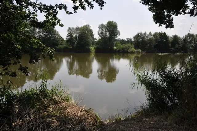 LABE 16 A - TŮNĚ KOZLY