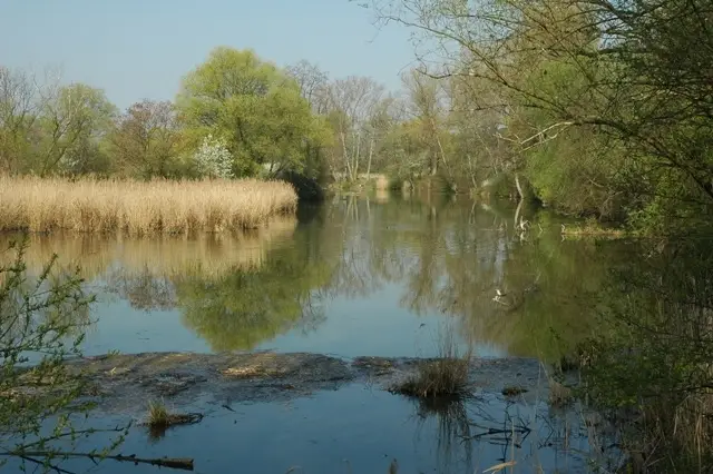 LABE 19 A - ŘEHAČKA