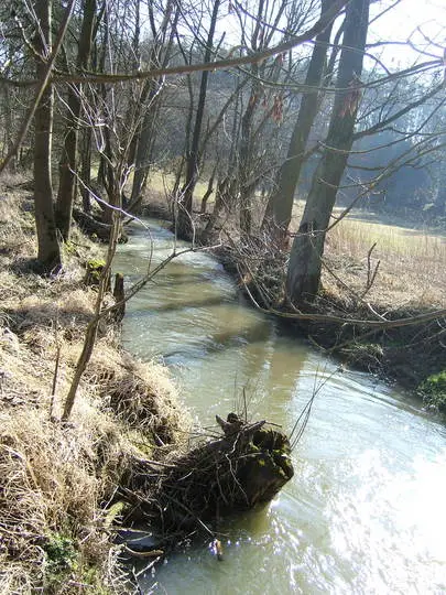 ŠTĚPÁNOVSKÝ POTOK 1