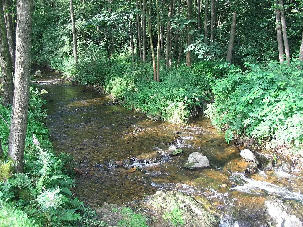 NOVOSEDELSKÝ POTOK 1