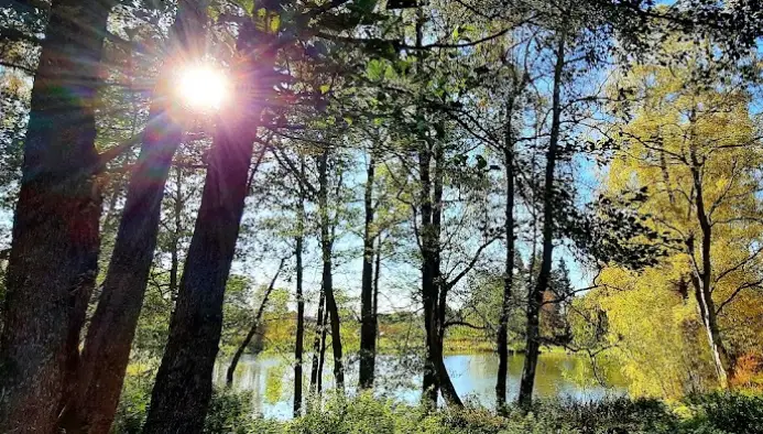 VERNÉŘOVSKÝ (HALŠTROVSKÝ) POTOK 1